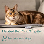 Термоподложка Beurer PP 210 Lilli Small heating mat for dogs and cats