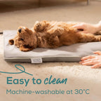 Термоподложка Beurer PP 210 Lilli Small heating mat for dogs and cats
