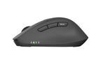 Мишка Natec Mouse Kite Wireless 4000DPI Optical Silent tilt wheel