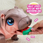 Fur Real Хипопотамът Sally