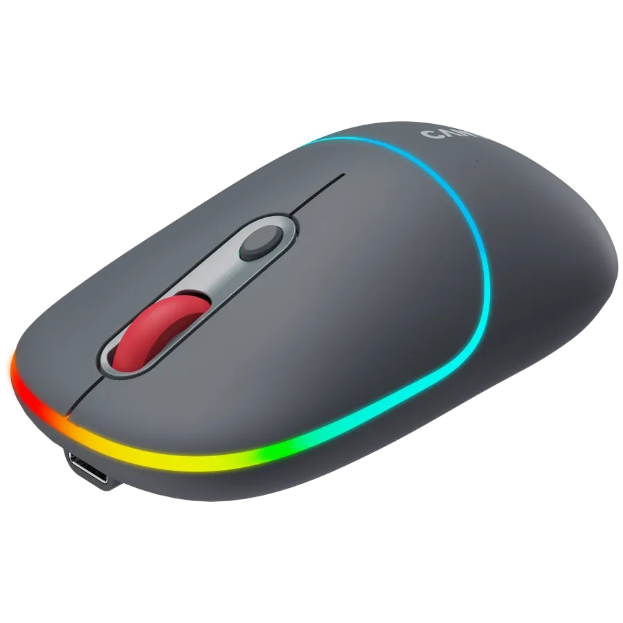 Мишка Canyon MW-22 2in1 BT/ Wireless Dark, сива