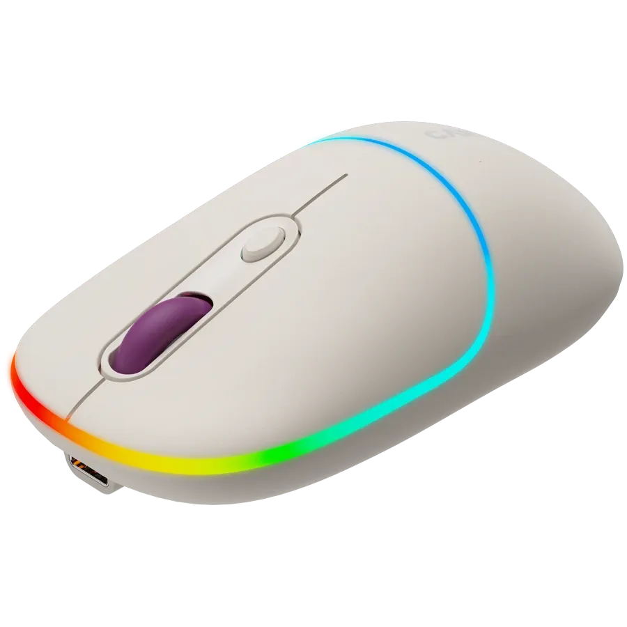 Мишка Canyon MW-22 2in1 BT/ Wireless Rice