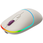 Мишка Canyon MW-22 2in1 BT/ Wireless Rice
