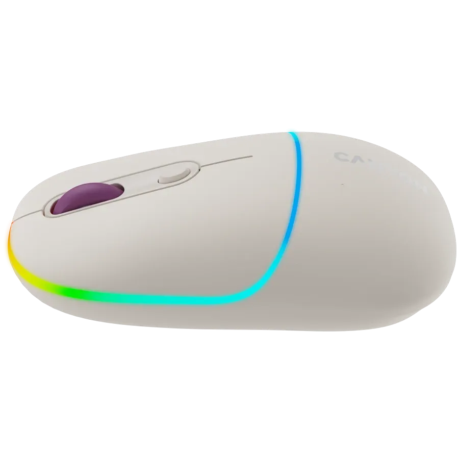 Мишка Canyon MW-22 2in1 BT/ Wireless Rice