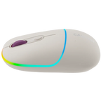 Мишка Canyon MW-22 2in1 BT/ Wireless Rice