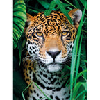 CLEMENTONI 500ч. Пъзел Jaguar in the Jungle