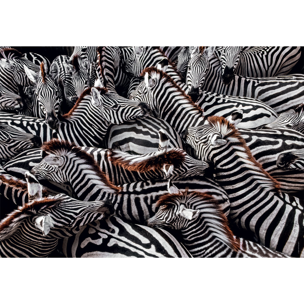 CLEMENTONI 1000ч. Пъзел National Geographic Zebra