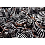 CLEMENTONI 1000ч. Пъзел National Geographic Zebra