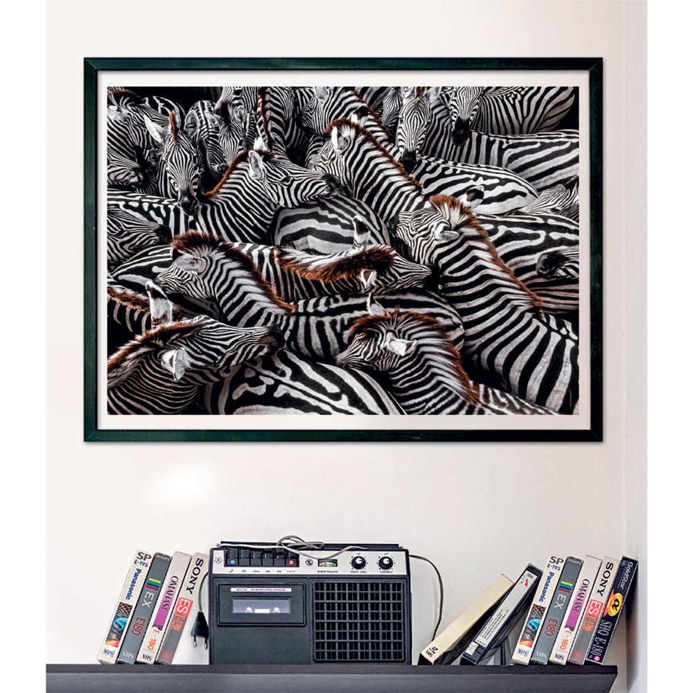 CLEMENTONI 1000ч. Пъзел National Geographic Zebra