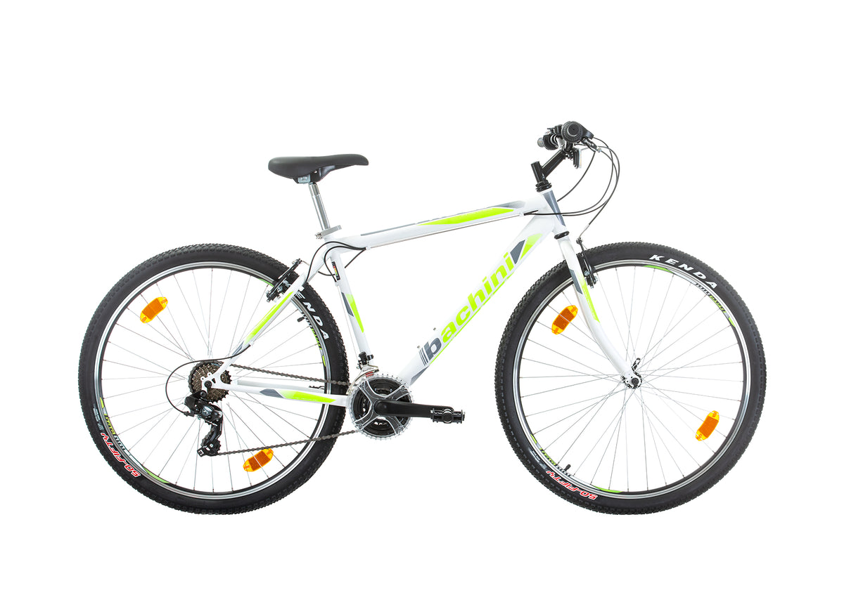 Bachini Pro 29