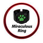 MIRACULOUS Калинката и Котарака Маска с аксесоари за трансформация