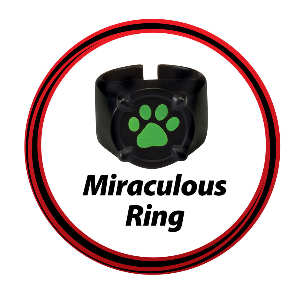 MIRACULOUS Калинката и Котарака Маска с аксесоари за трансформация