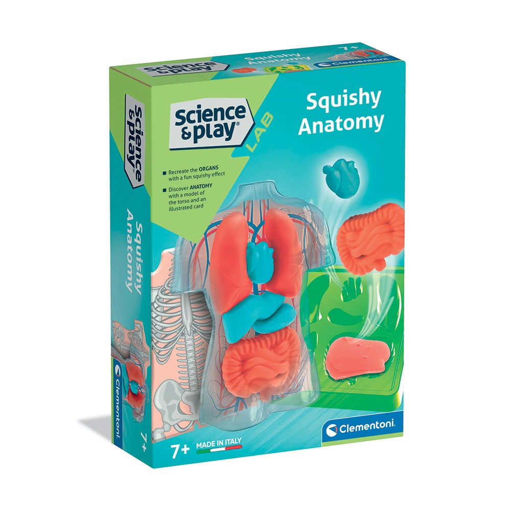 CLEMENTONI SCIENCE PLAY LAB Squishy Анатомия