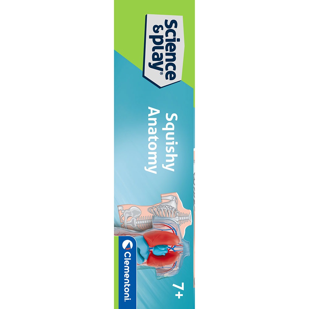 CLEMENTONI SCIENCE PLAY LAB Squishy Анатомия