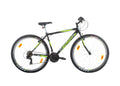 Bachini Pro 29