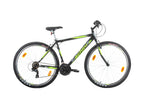 Bachini Pro 29