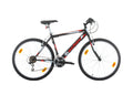 Bachini Pro 26