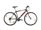 Bachini Pro 26