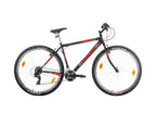 Bachini Pro 29