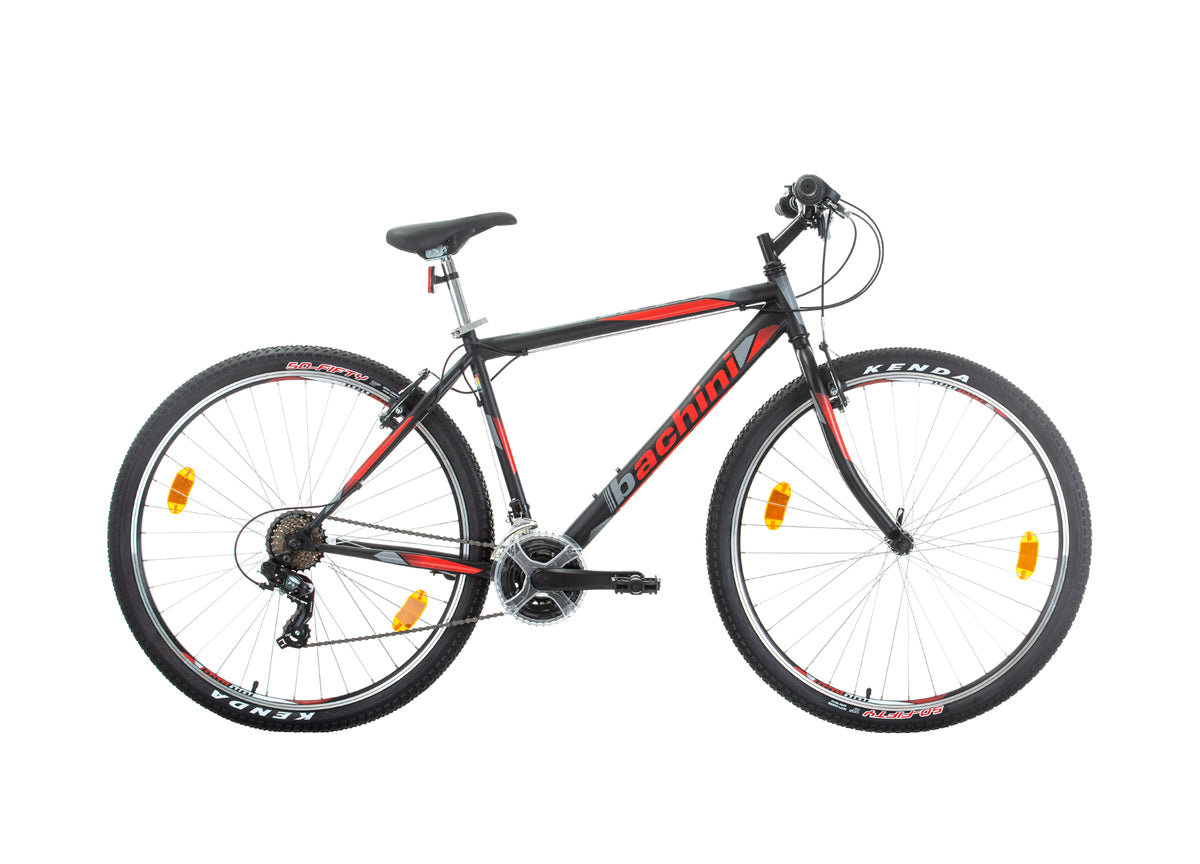 Bachini Pro 29