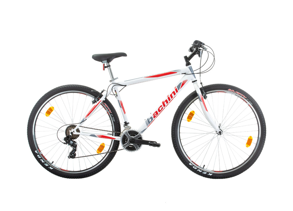Bachini Pro 29