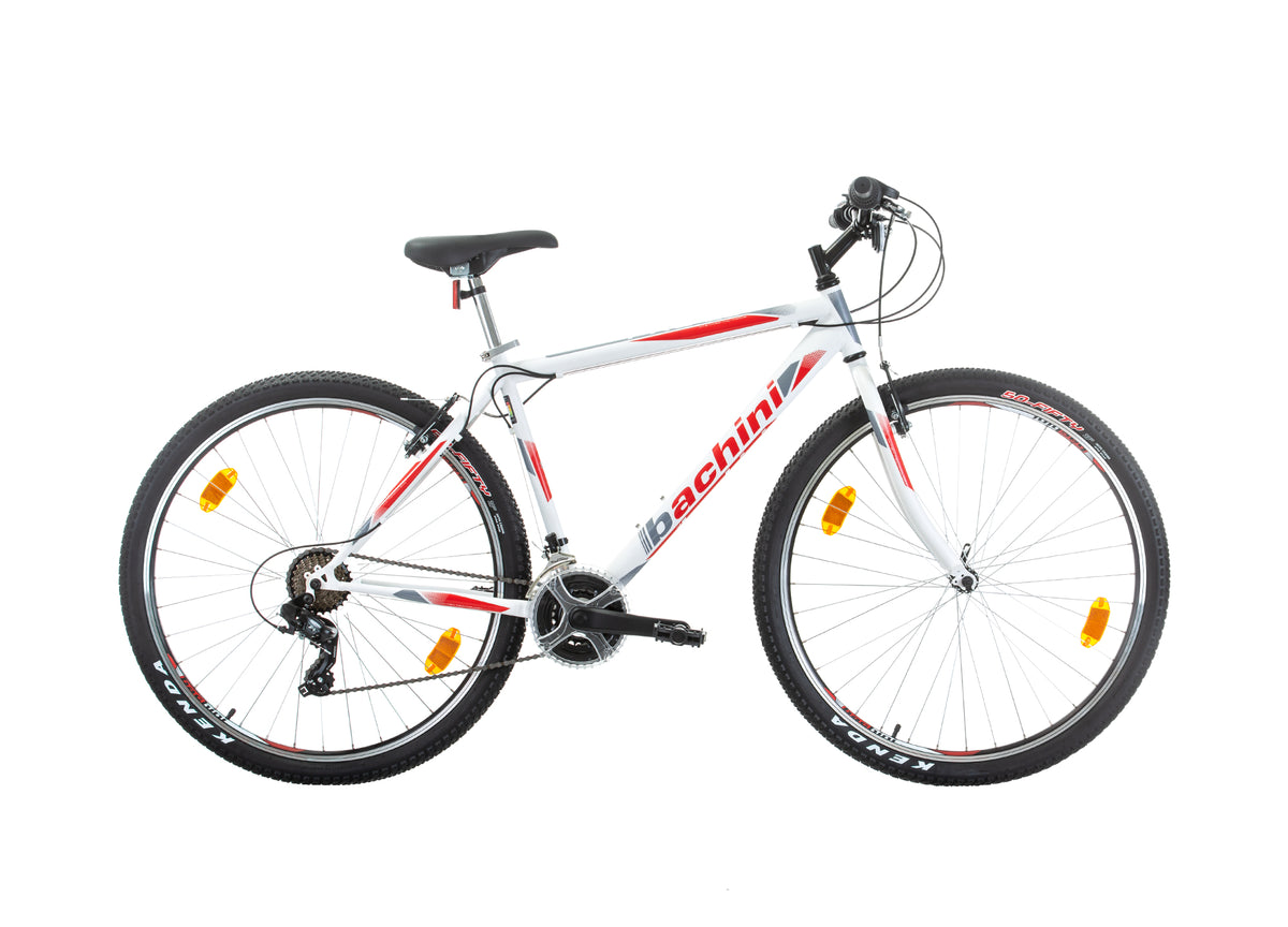 Bachini Pro 29