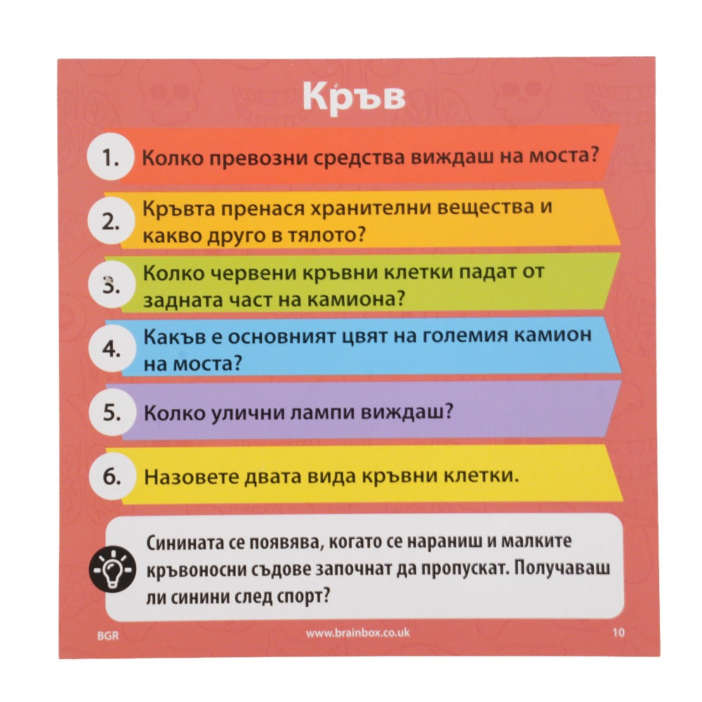 BRAINBOX Игра Човешкото тяло