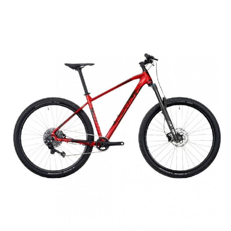Sprint Apolon 29