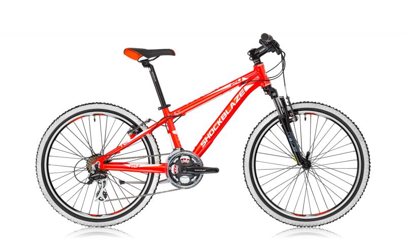 Shockblaze, Warrior 24